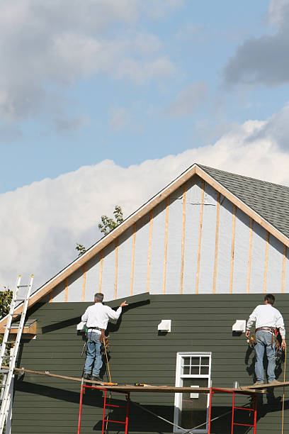 Best Siding Painting and Refinishing  in Trenton, MI